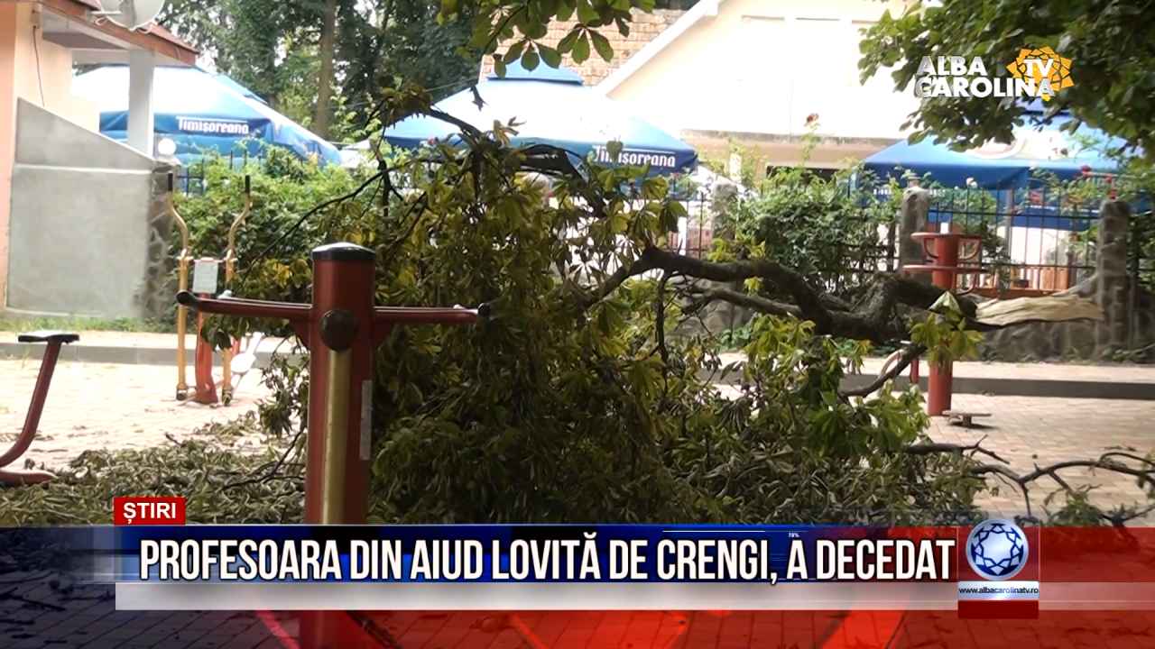 lovita de crengi aiud