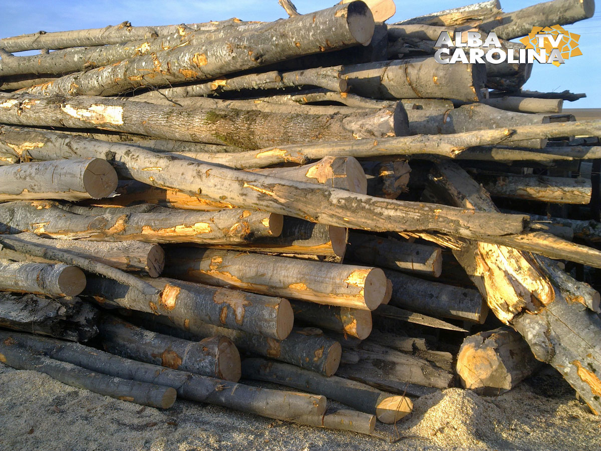 material-lemnos-bistra