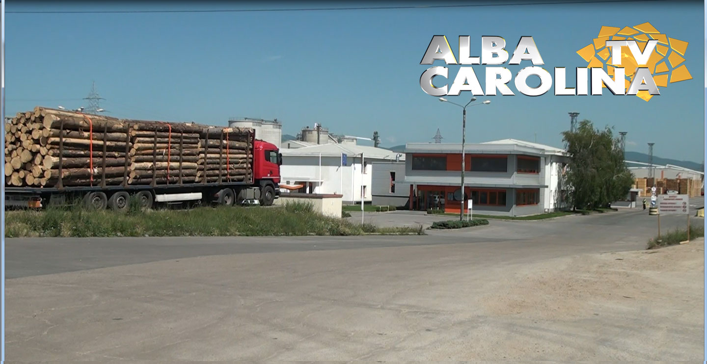 Holzindustrie-Schweighofer-perchezitii diicot