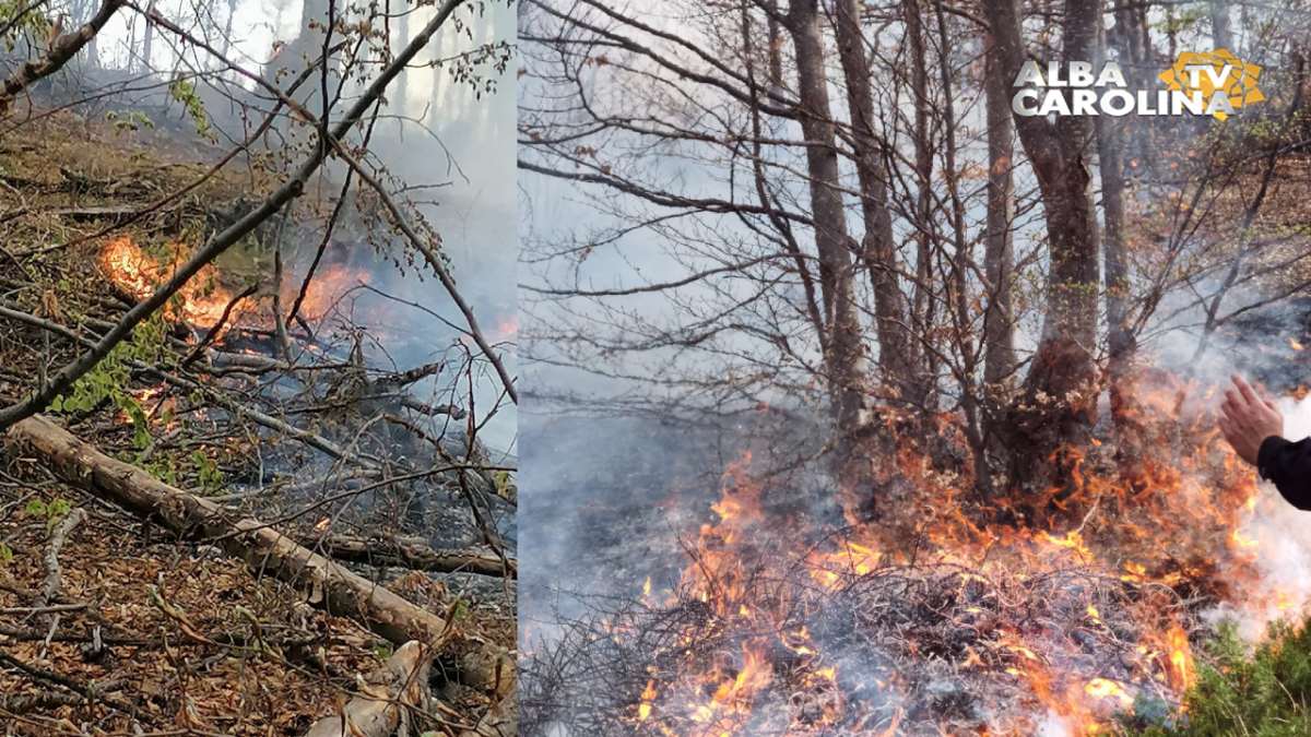 incendiu paduri apuseni