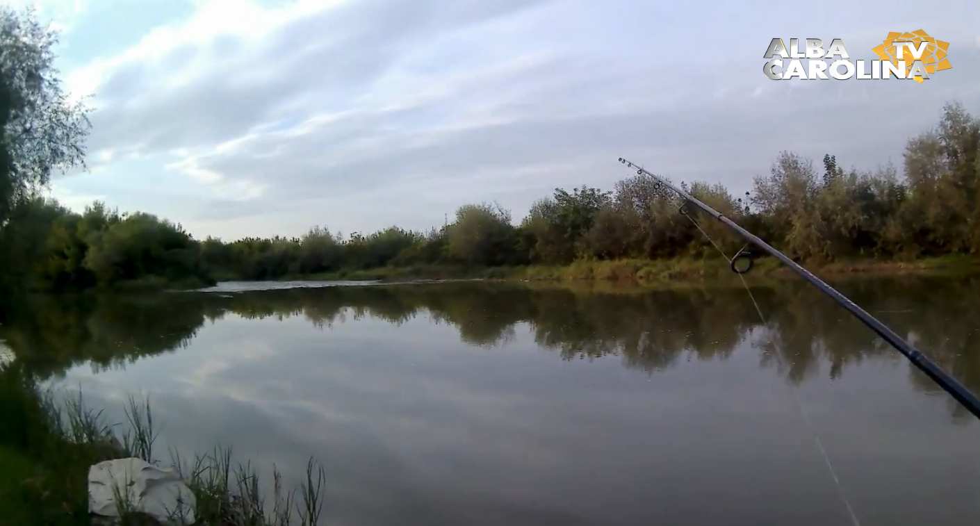 tarnava mare pescuit