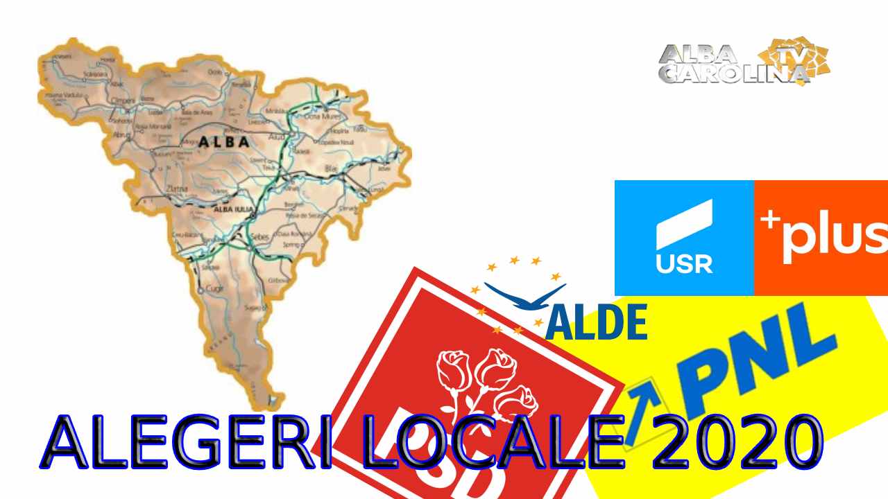 alegeri locale alba judet