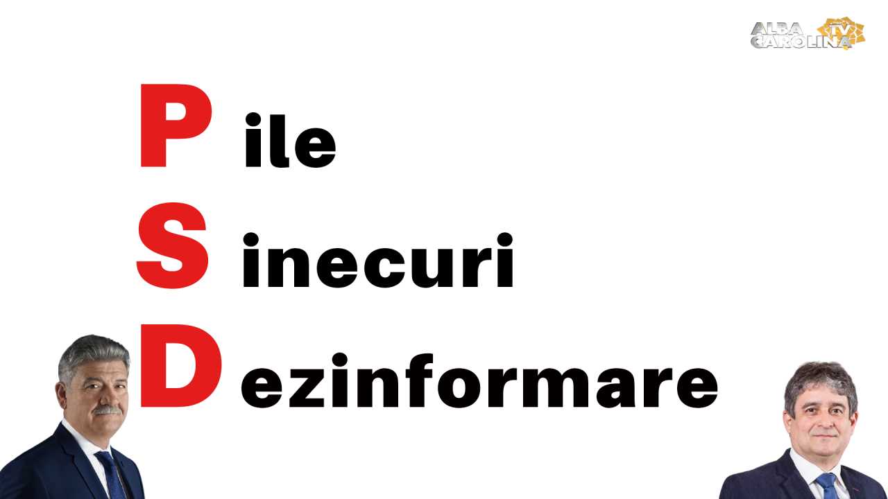 gabriel plesa mircea hava
