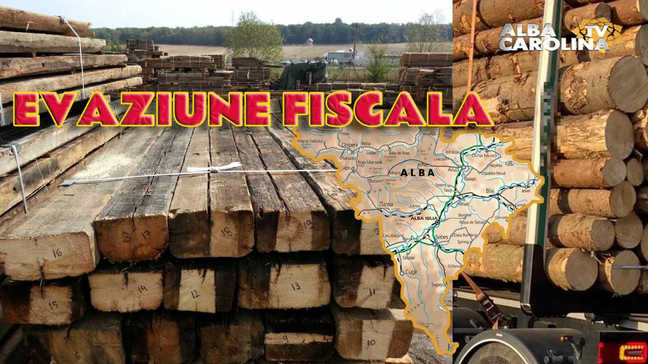 EVAZIUNE FISCALA LEMN JUDETUL ALBA