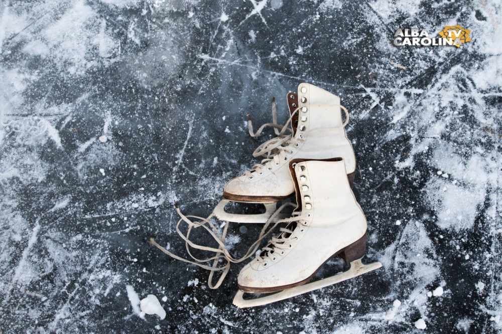 patinoar sebes