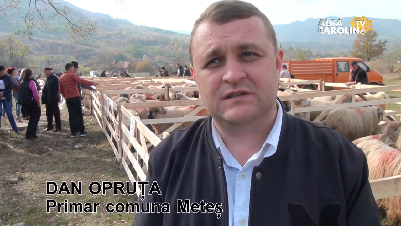 dan opruta - metes