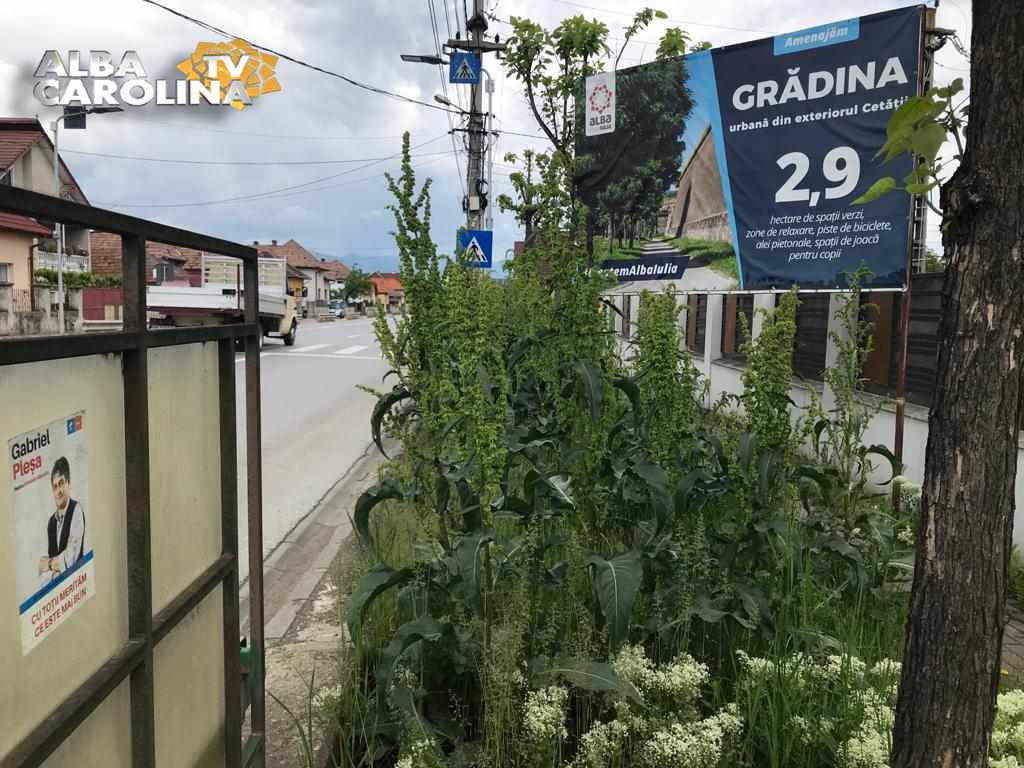 crestem inmpreuna micesti alba iulia usr pnl alba iulia
