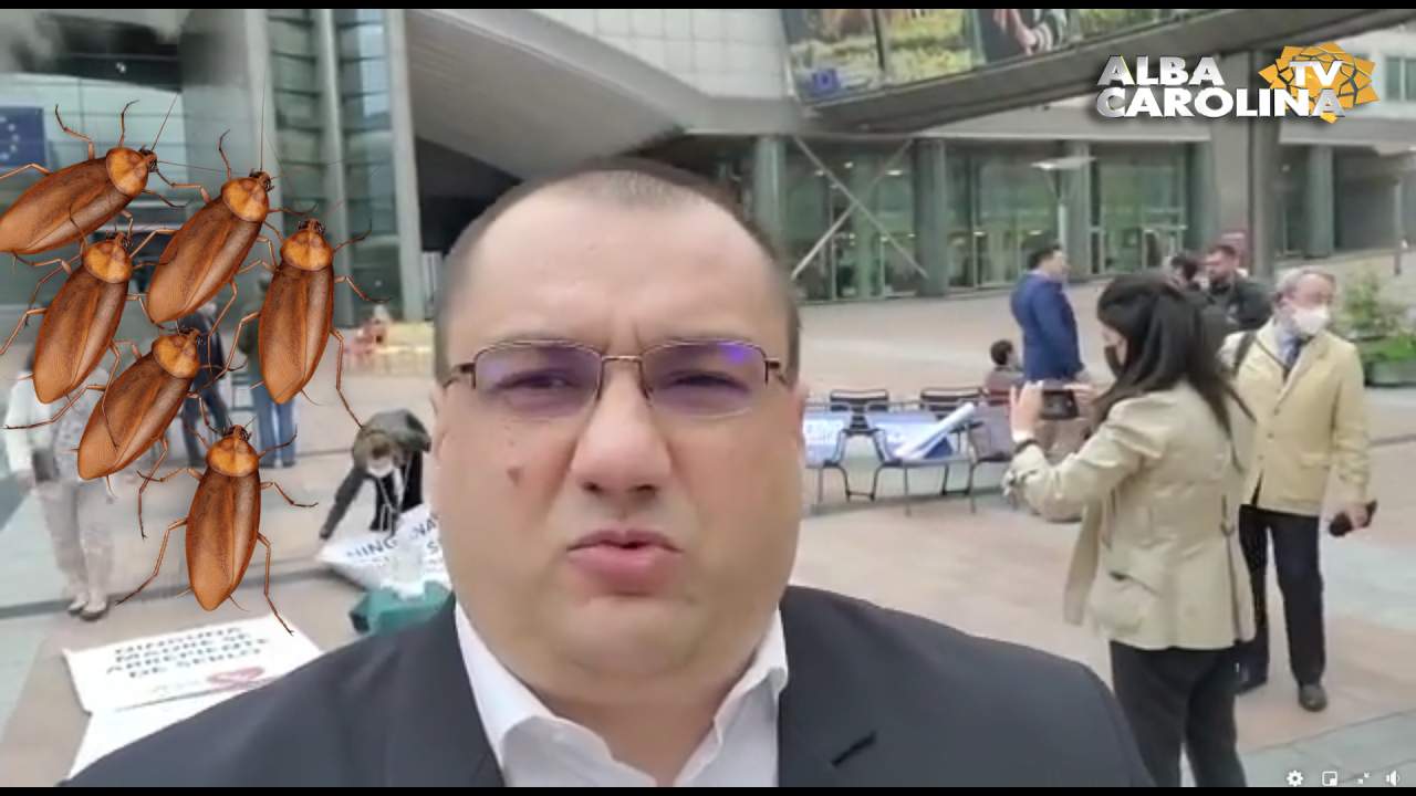 Cristian Terheș drepturi