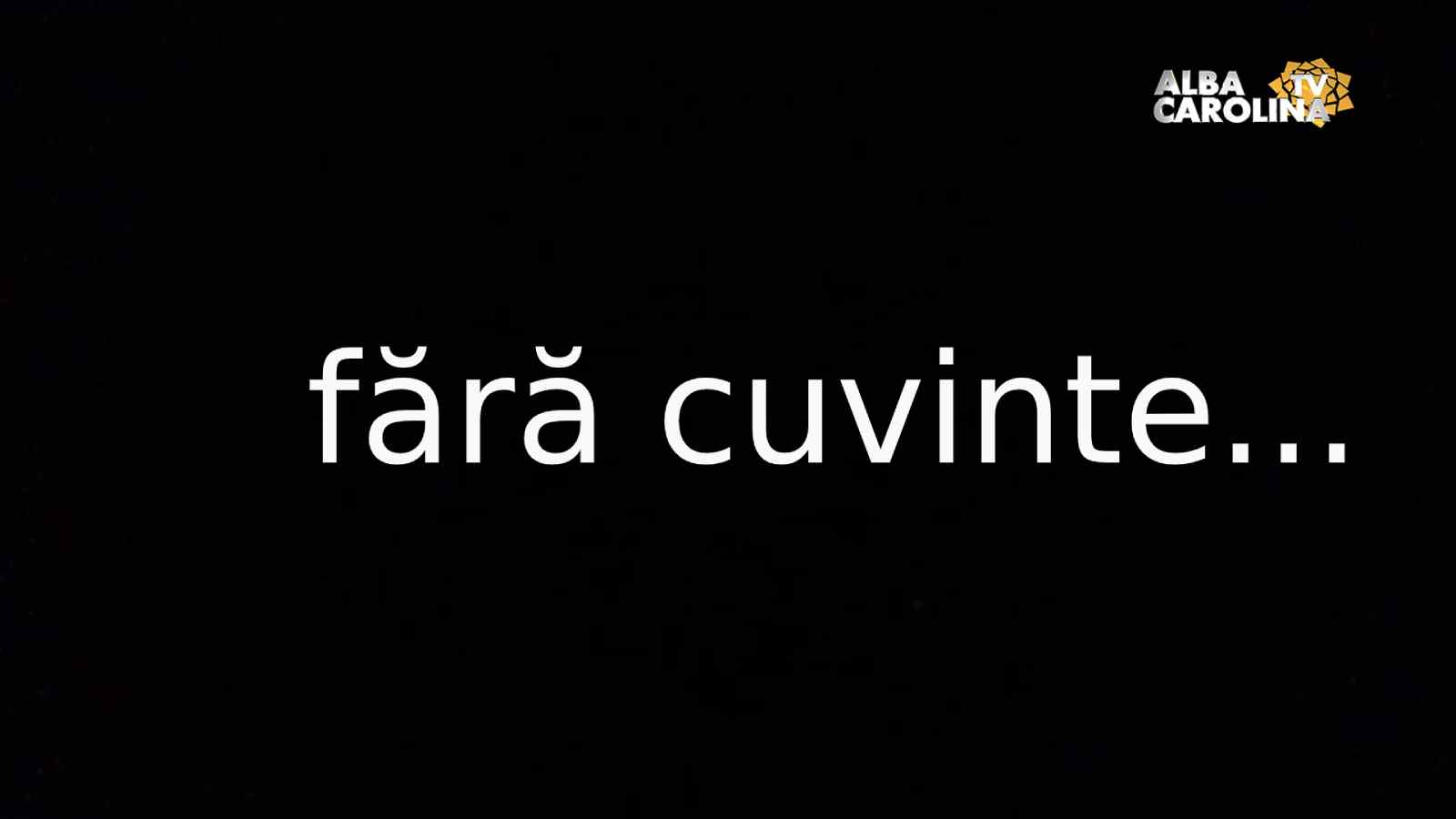 viol fiu handicap alba iulia