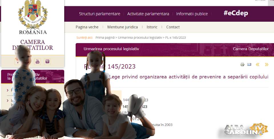 barnevernet de romania proiect lege