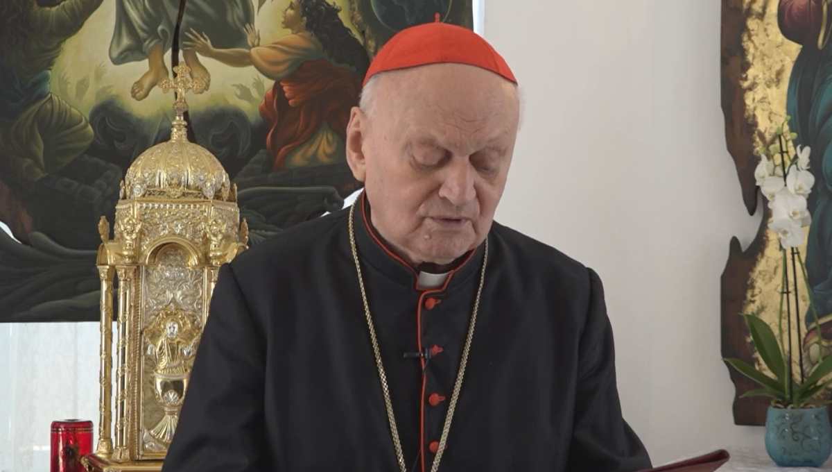 cardinal lucian carolinatv