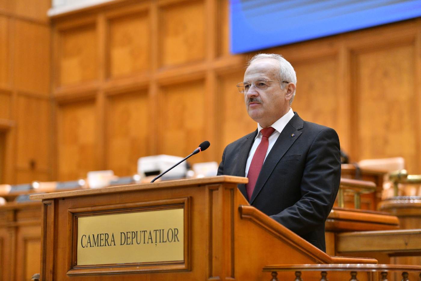radu tuhut