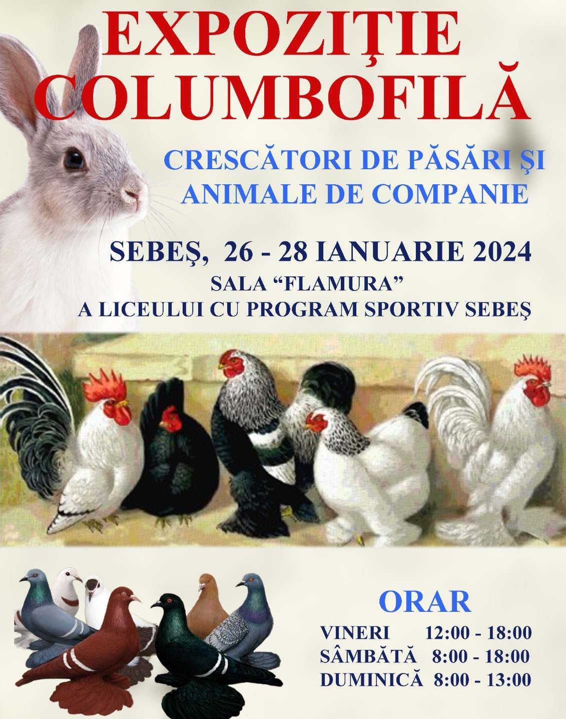 expozitie columbofilă sebes