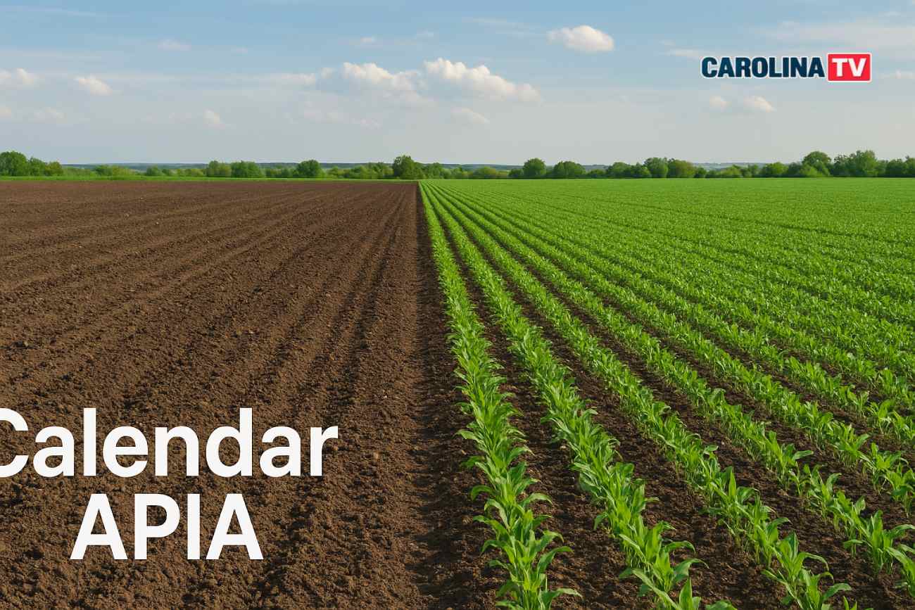 apia calendar carolinatv