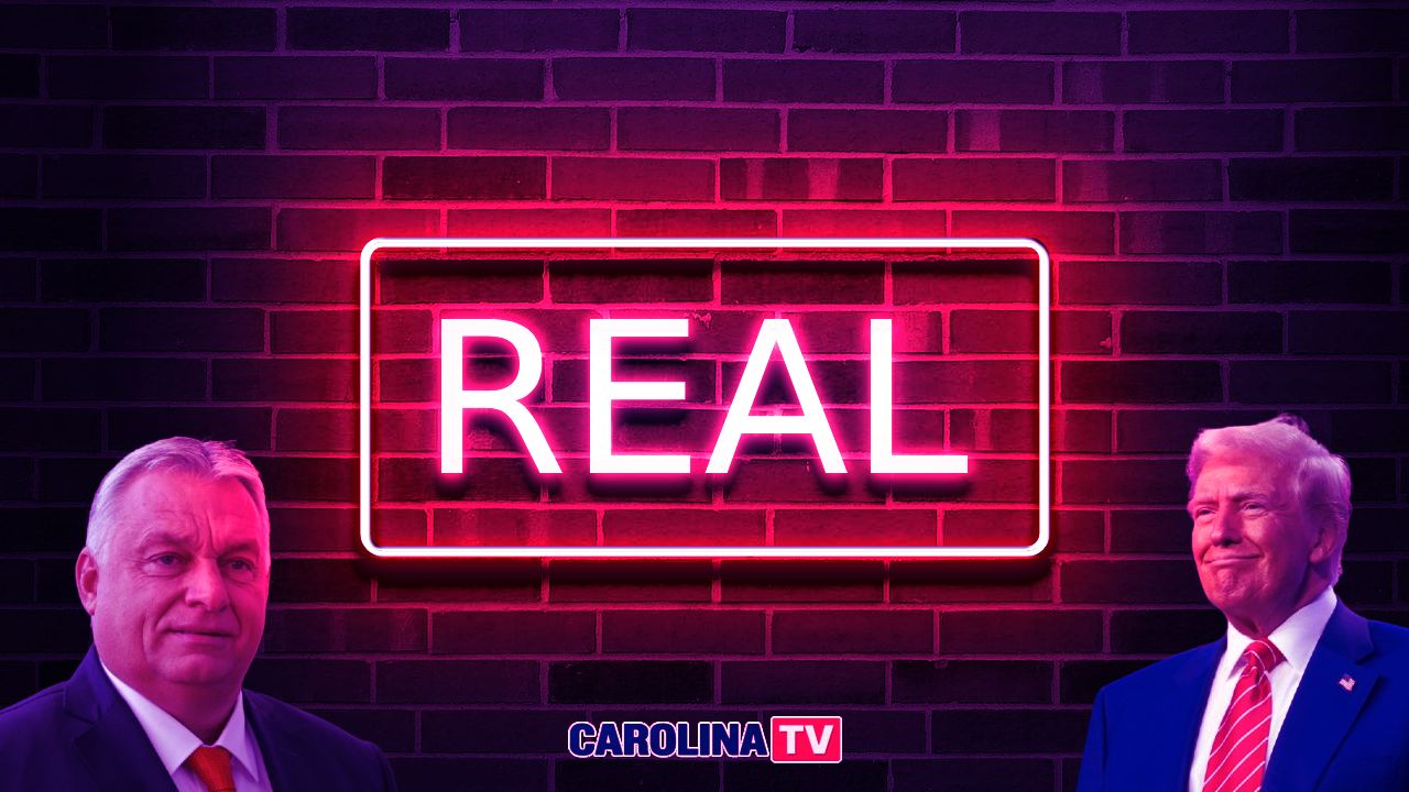 carolina tv opinie