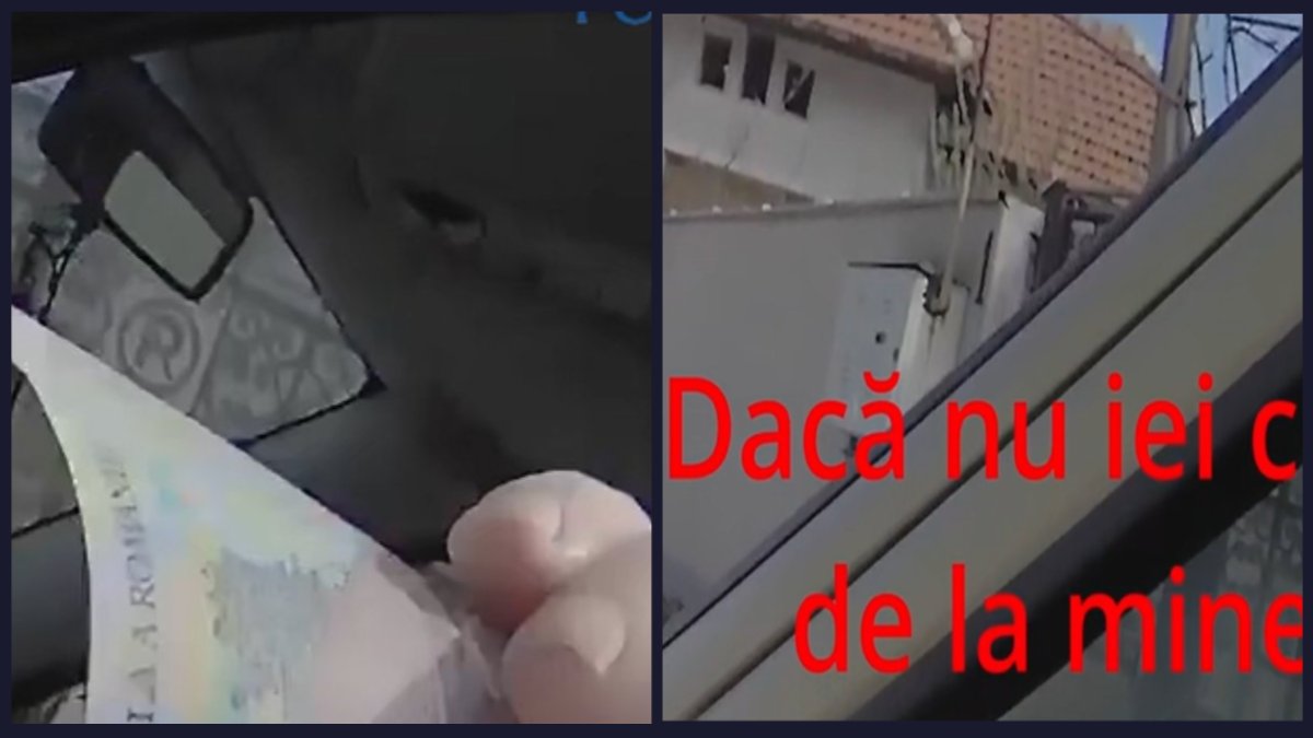 mita alba carolinatv