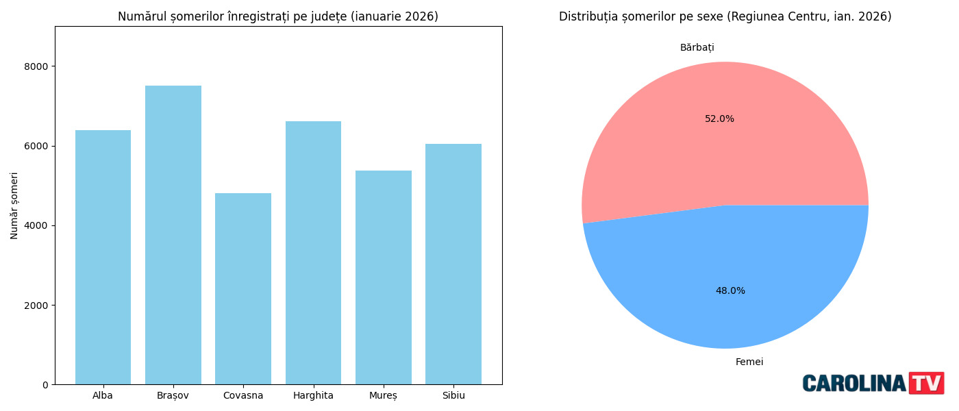rata somajului regiunea centru