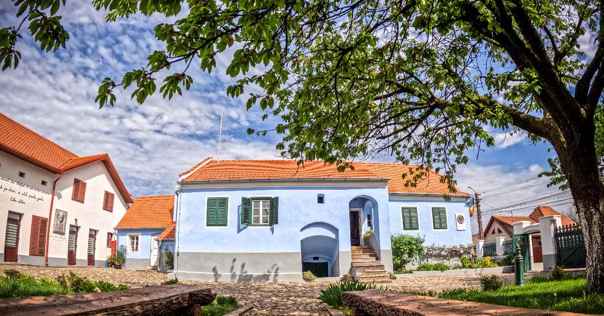 festival blaga sebes