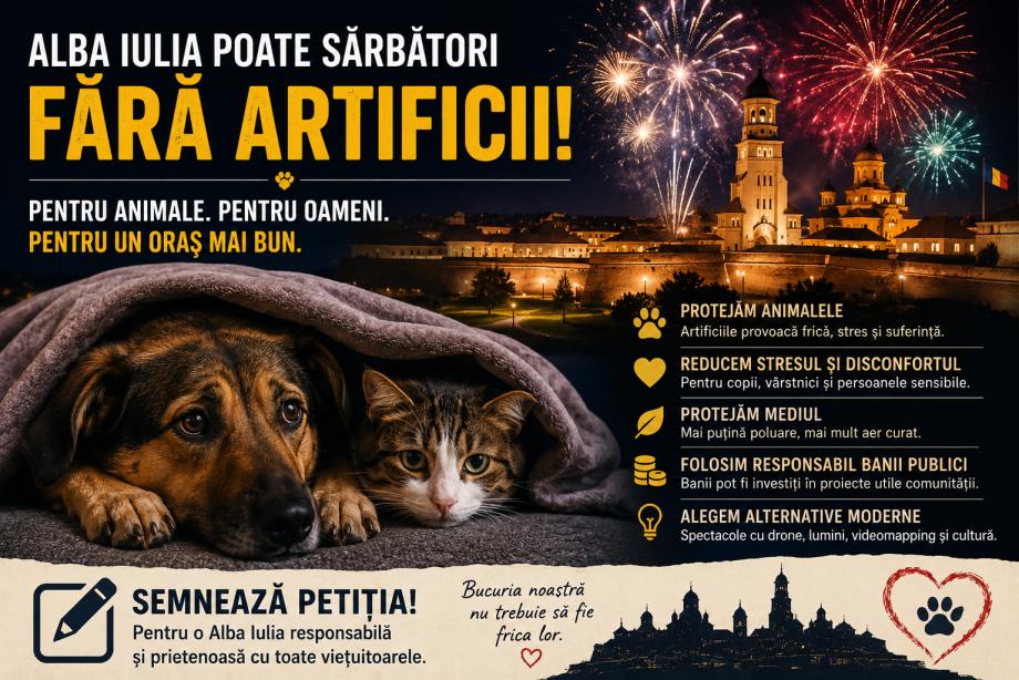 fara artificii alba iulia