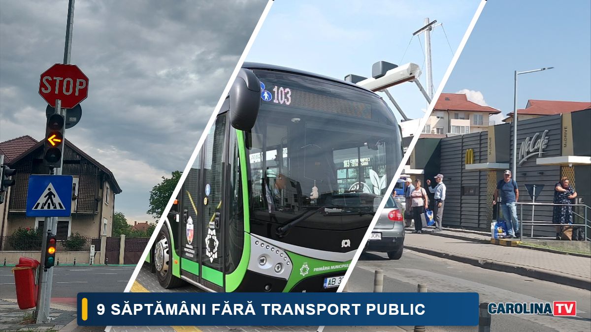 transport public alba iulia