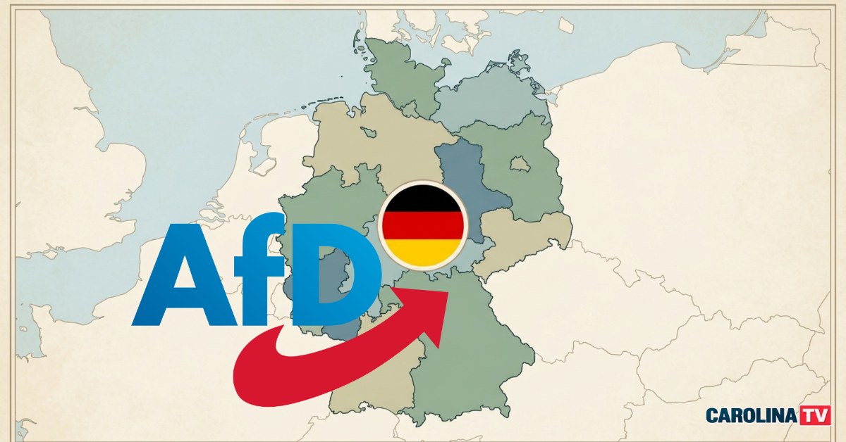 afd germania