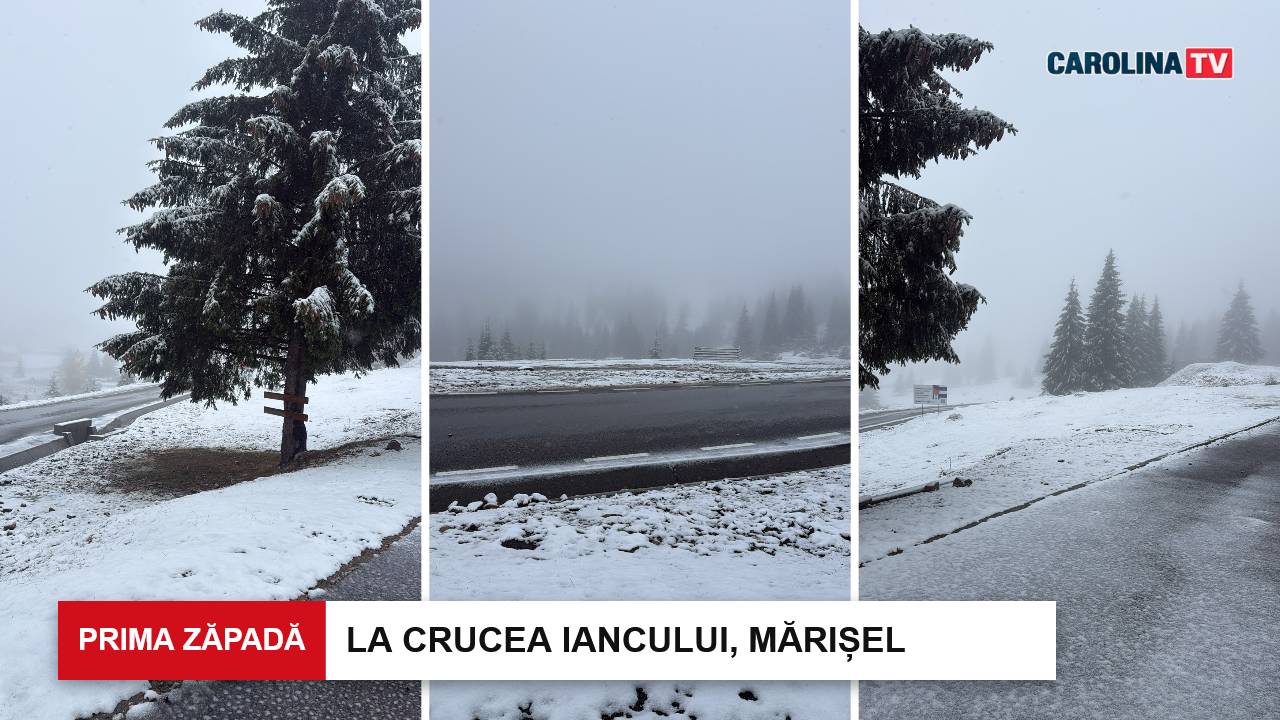 a nins in apuseni marisel carolinatv