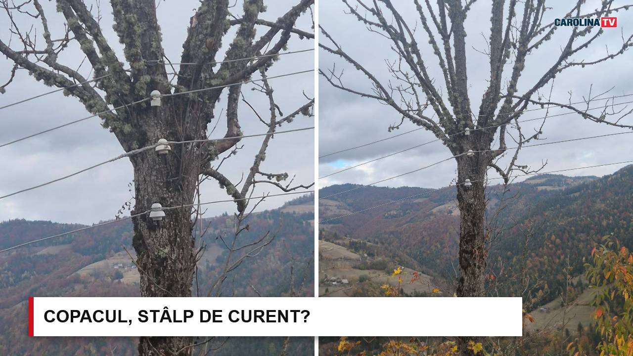 fire de curent in copcai apuseni pericol